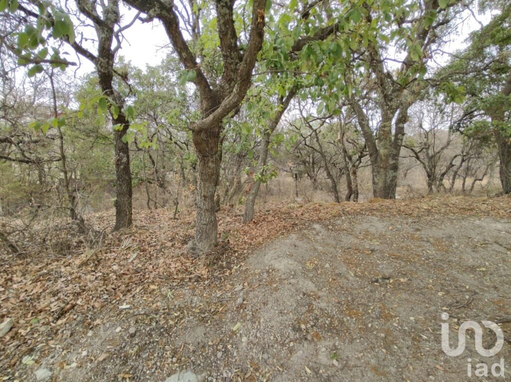 Terreno en Venta en Haras del Bosque