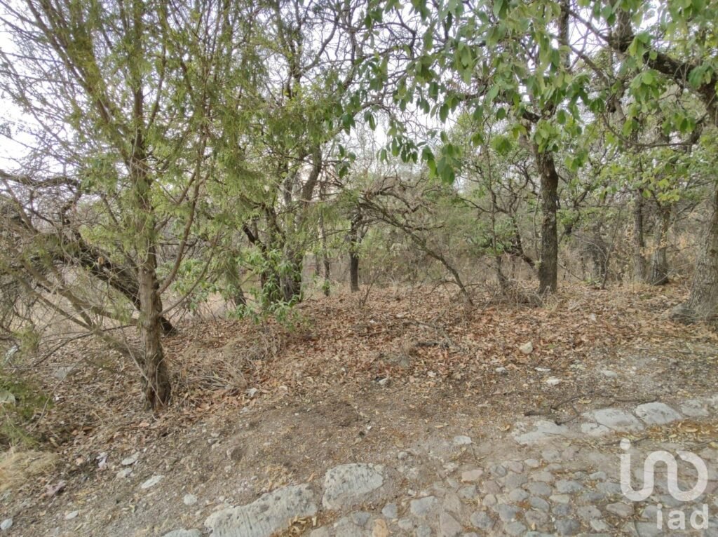 Terreno en Venta en Haras del Bosque