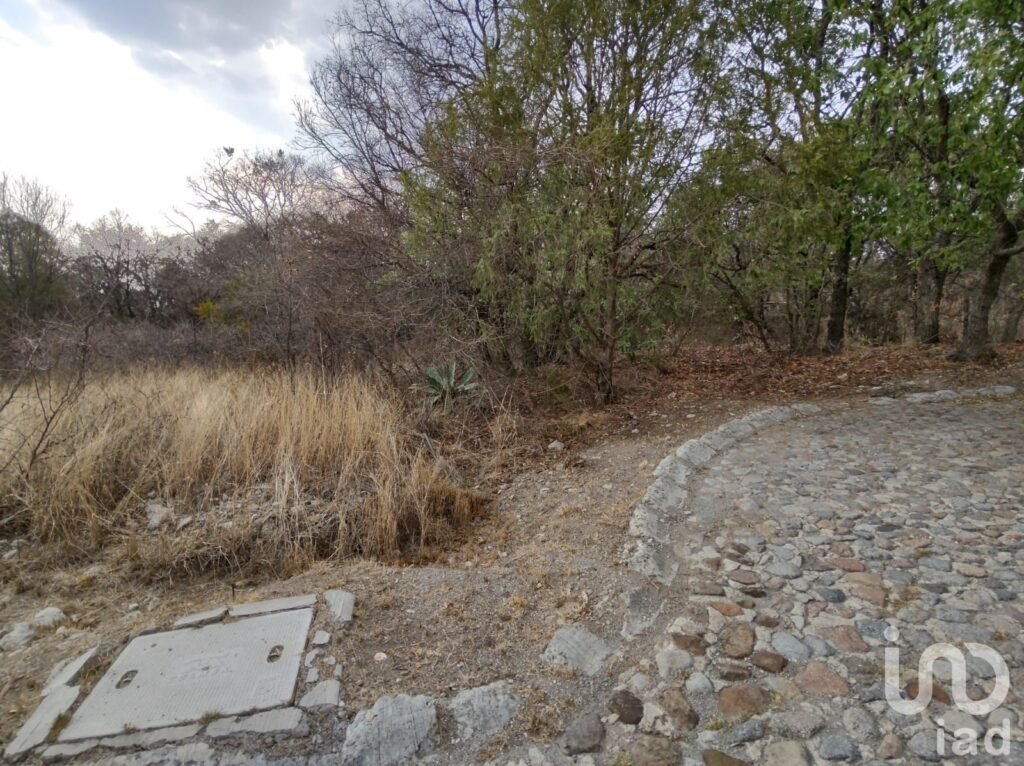 Terreno en Venta en Haras del Bosque