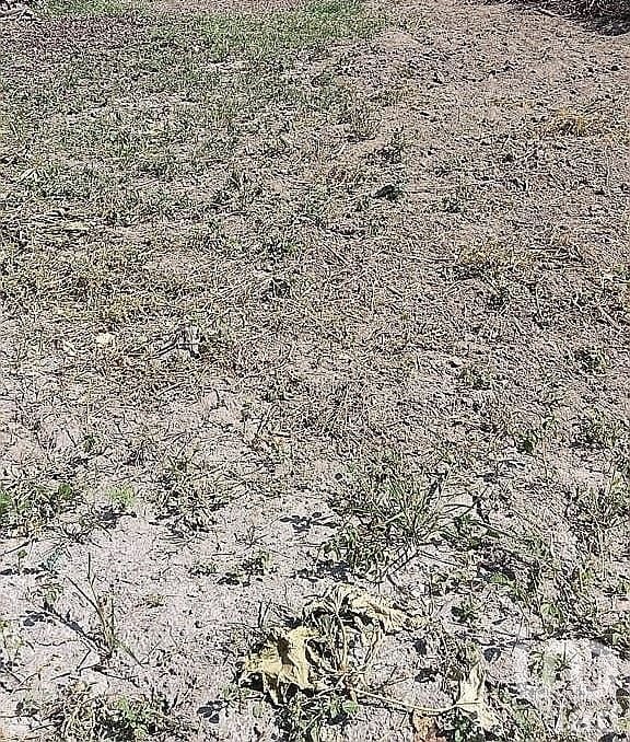 Terreno Comercial en Venta en Ixtlahuacan Jalisco