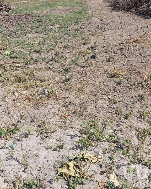 Terreno Comercial en Venta en Ixtlahuacan Jalisco