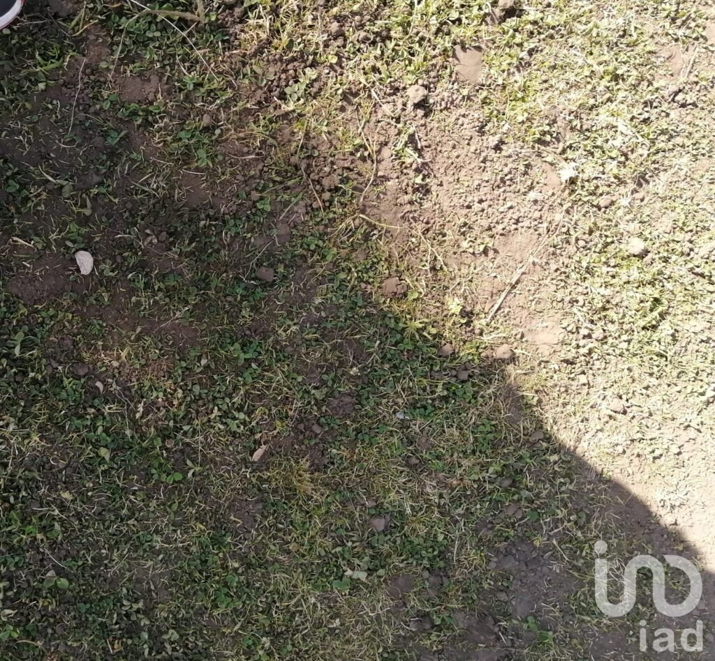 Terreno Comercial en Venta en Ixtlahuacan Jalisco