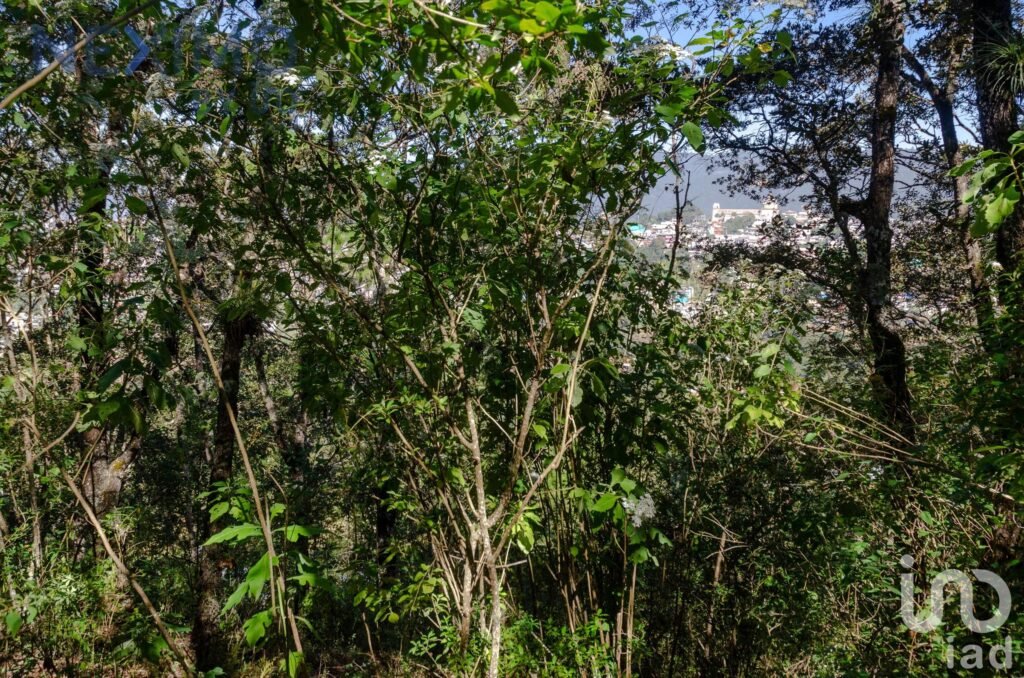Terreno en Venta con vista San Cristóbal de las Casas, Chiapas