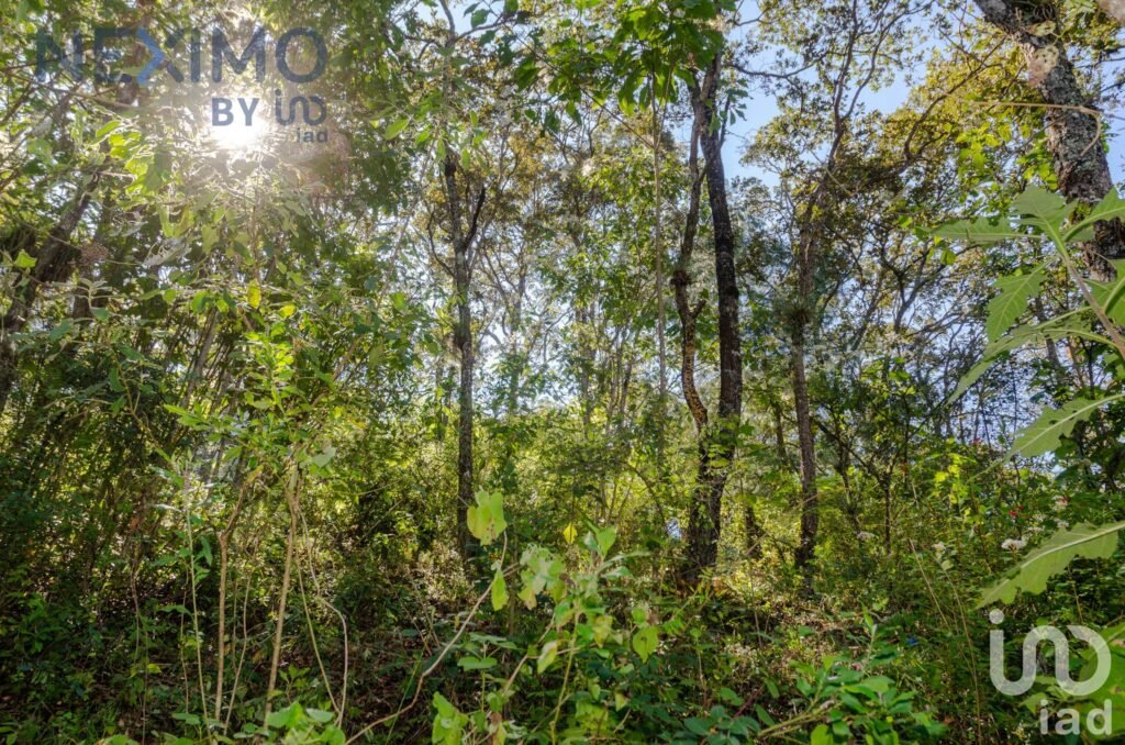 Terreno en Venta con vista San Cristóbal de las Casas, Chiapas - 1981351 terreno en venta terreno en venta con vista san cristobal de las casas chiapas 50776