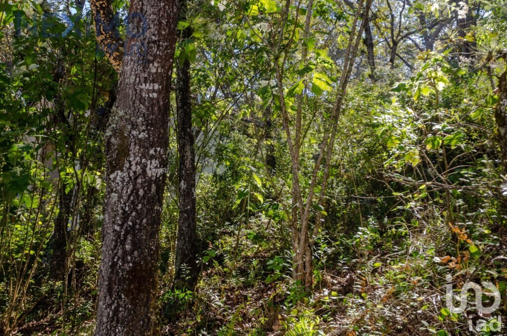 Terreno en Venta con vista San Cristóbal de las Casas, Chiapas