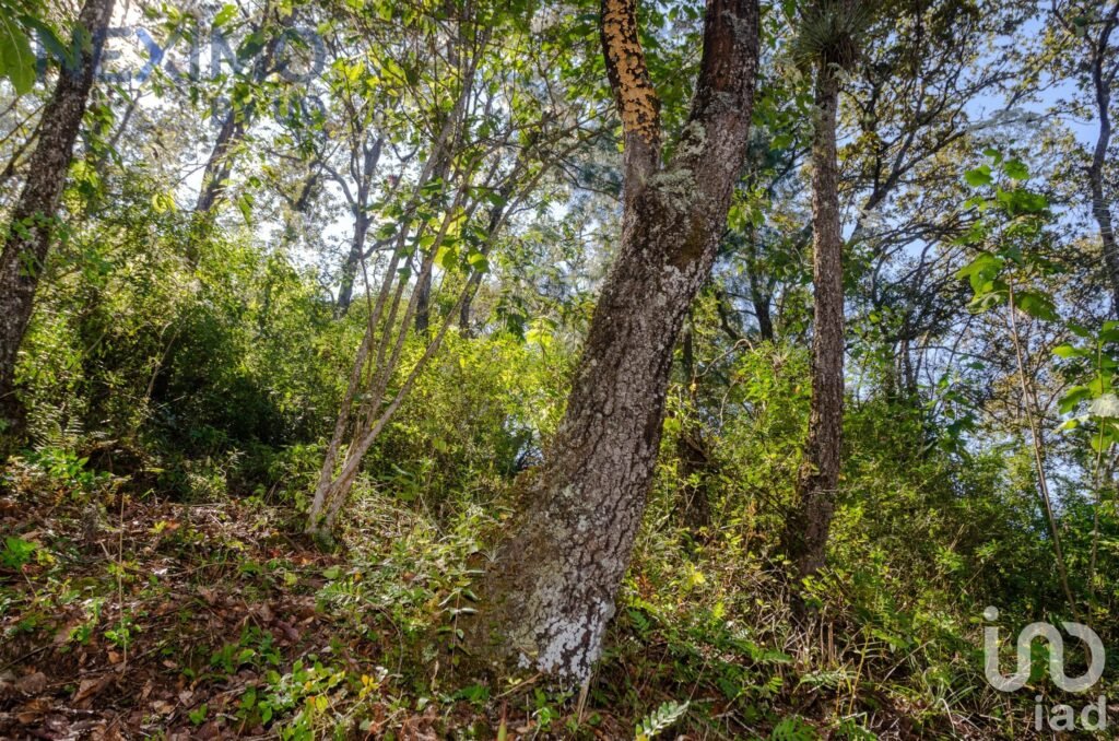 Terreno en Venta con vista San Cristóbal de las Casas, Chiapas