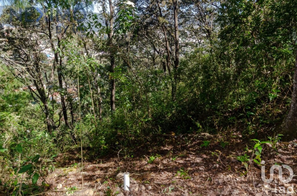 Terreno en Venta con vista San Cristóbal de las Casas, Chiapas