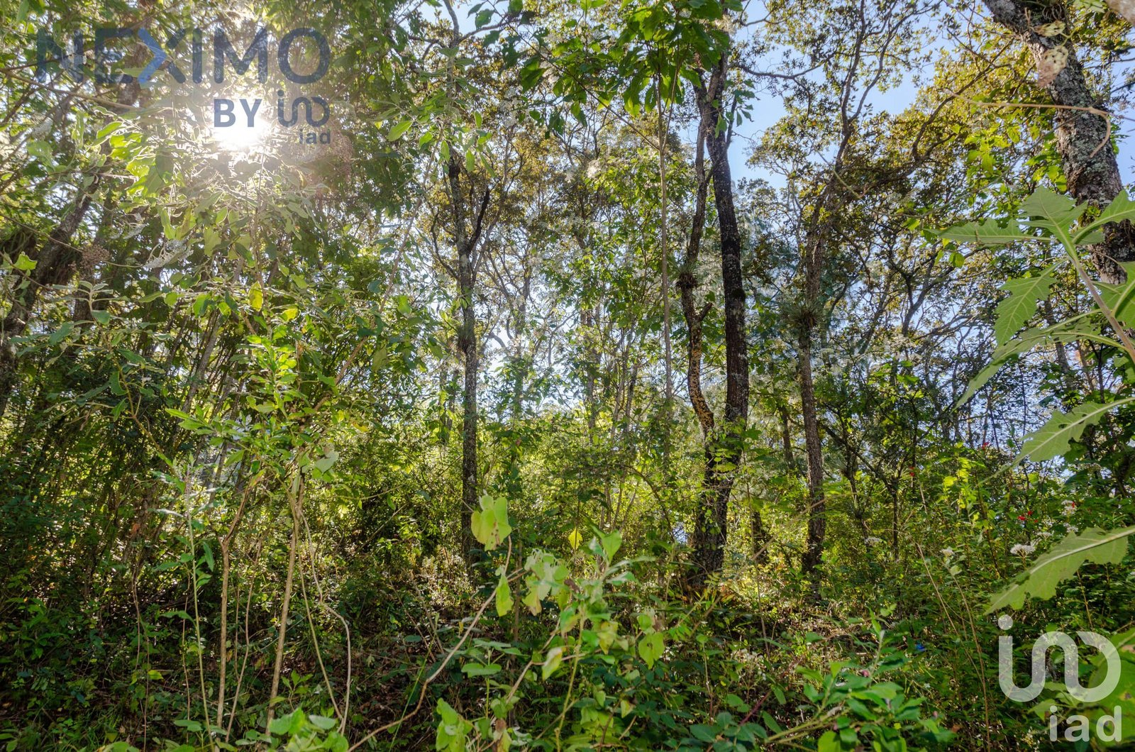 Terreno en Venta con vista San Cristóbal de las Casas, Chiapas