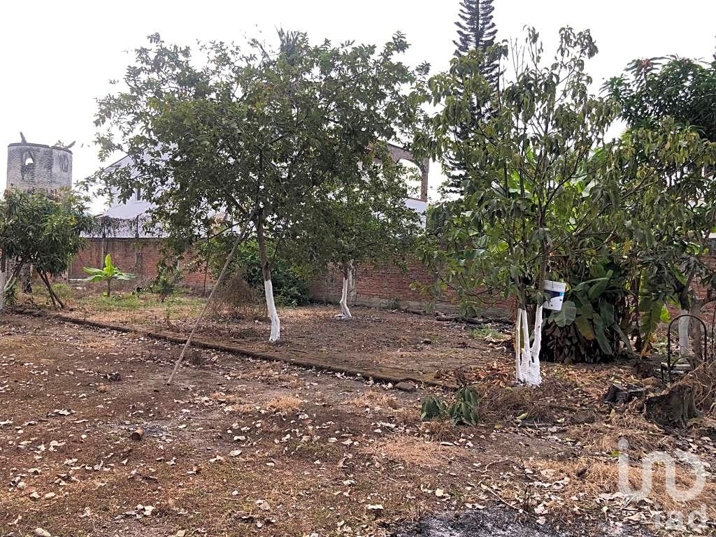 TERRENO COMERCIAL EN RENTA  BAHÍA DE BANDERAS NAYARIT JARRETADERAS