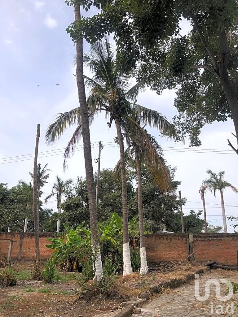 TERRENO COMERCIAL EN RENTA  BAHÍA DE BANDERAS NAYARIT JARRETADERAS