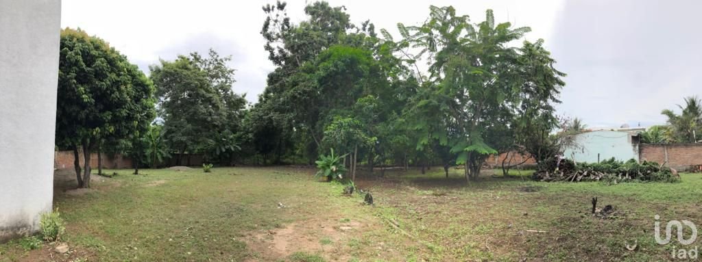 TERRENO COMERCIAL EN RENTA  BAHÍA DE BANDERAS NAYARIT JARRETADERAS