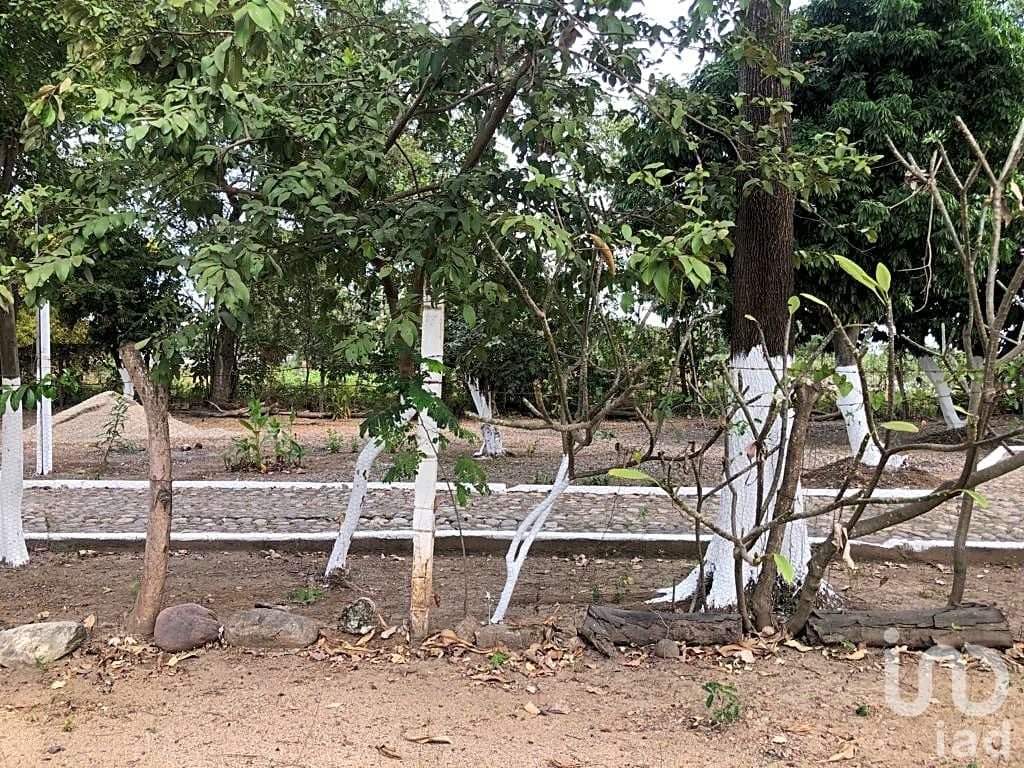 TERRENO COMERCIAL EN RENTA  BAHÍA DE BANDERAS NAYARIT JARRETADERAS