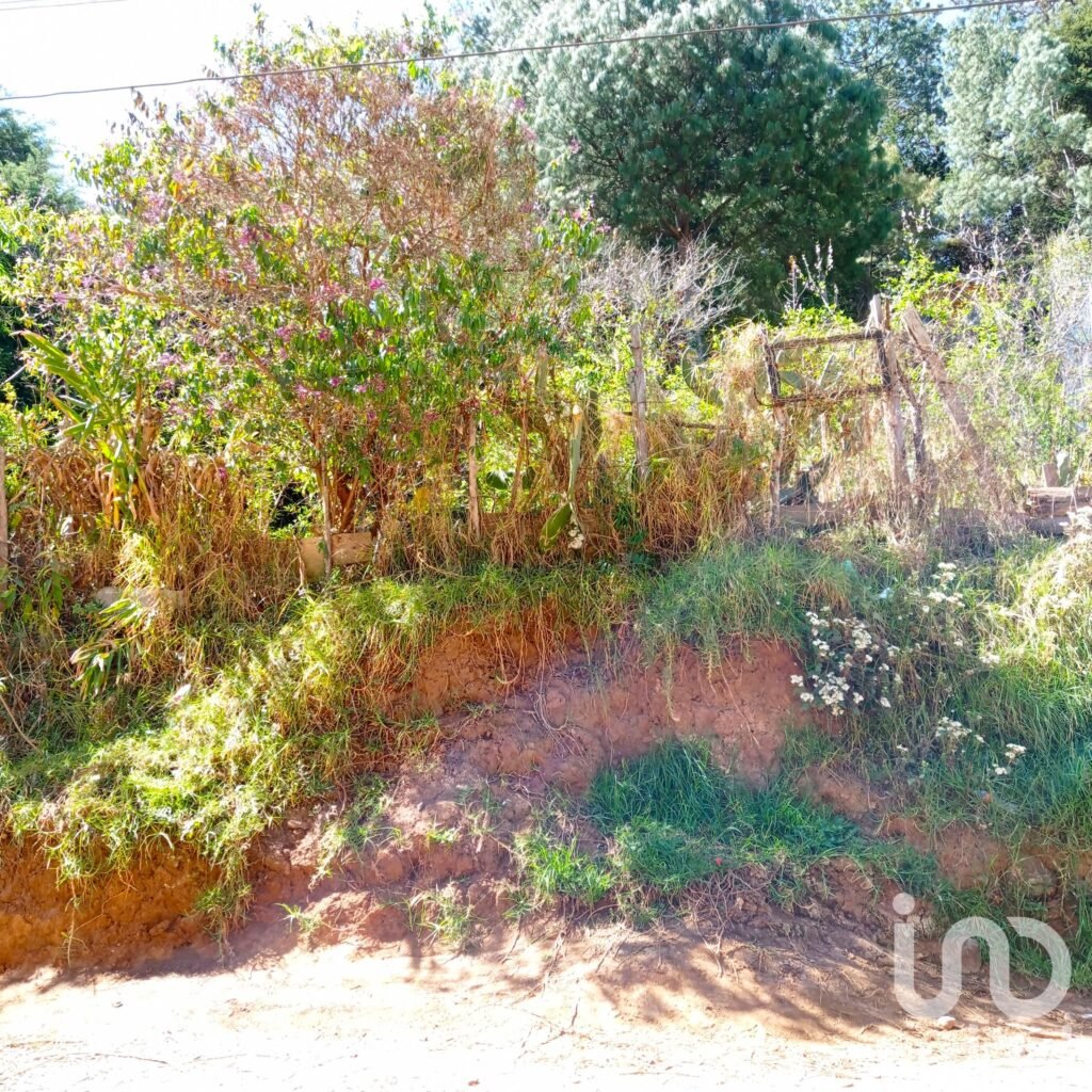 Terreno en venta, Cuxtitali, San Cristóbal de las Casas, Chiapas