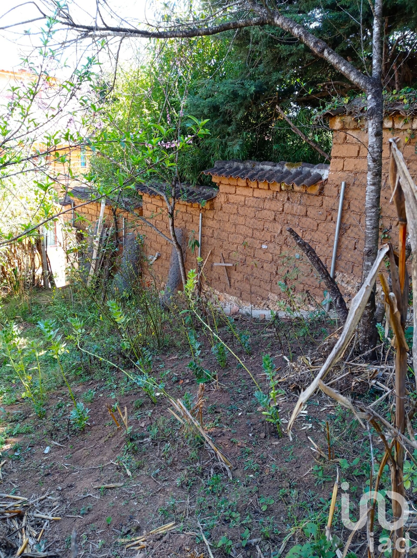 Terreno en venta, Cuxtitali, San Cristóbal de las Casas, Chiapas Terreno en venta, Cuxtitali, San Cristóbal de las Casas, Chiapas