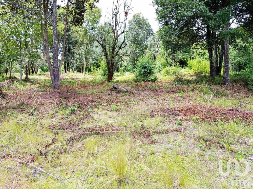 TERRENO EN VENTA EN ZONA EXCLUSIVA, SAN CRISTÓBAL DE LAS CASAS