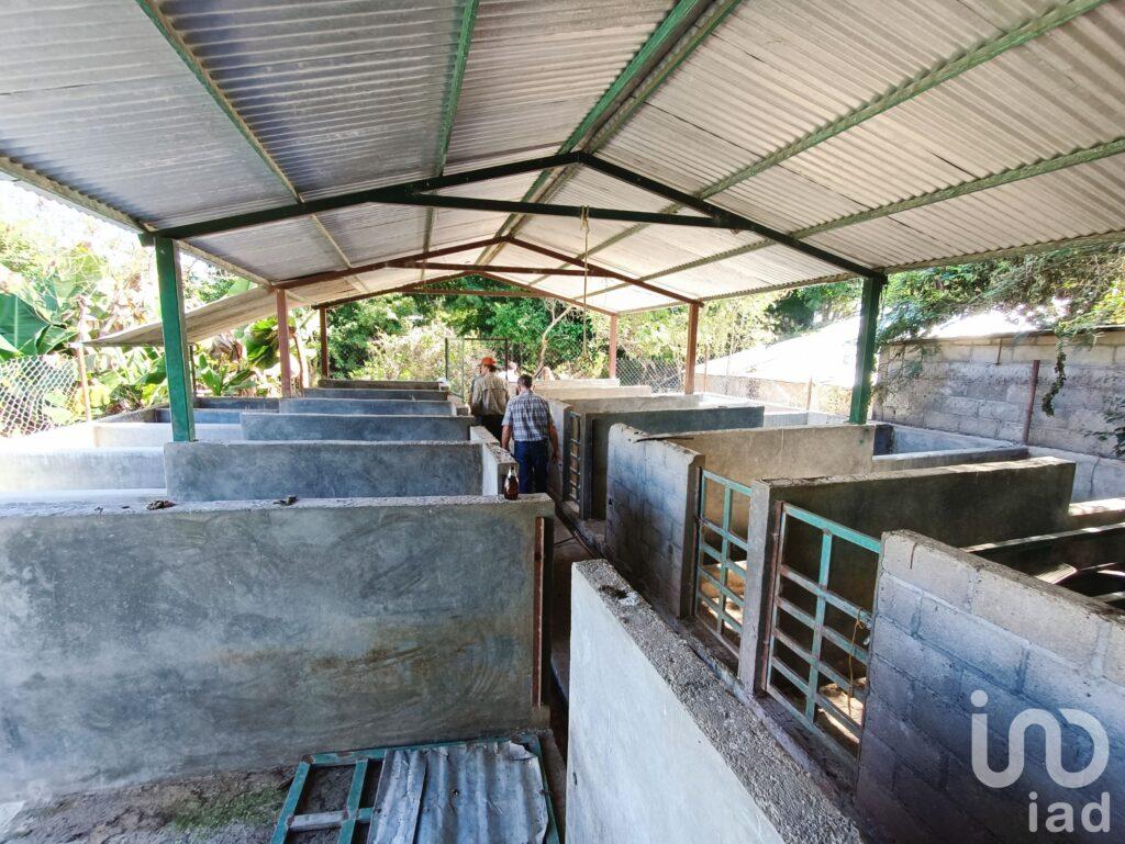RANCHO EN VENTA EN ACALA, CHIAPAS