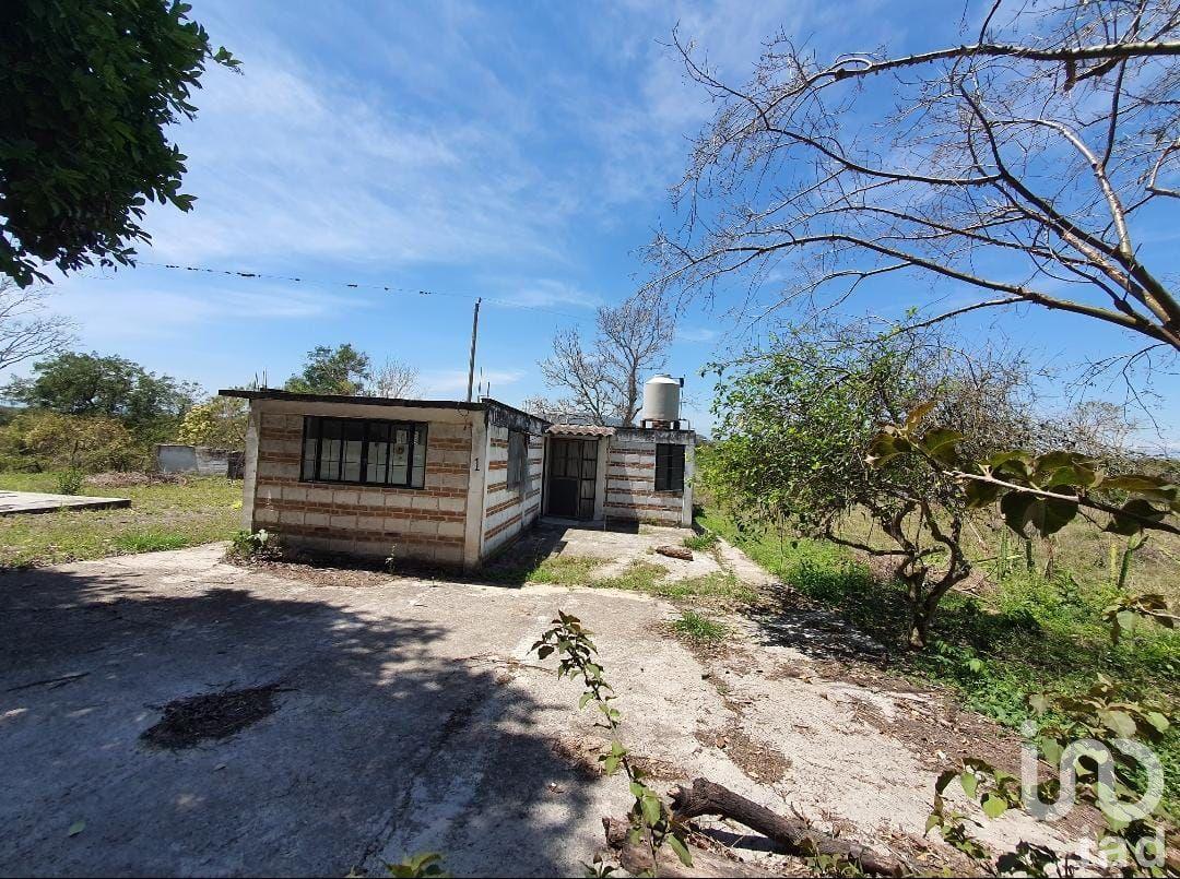 Venta de Terreno Campestre 2 Hectáreas en Mpio. Emiliano Zapata, Ver.