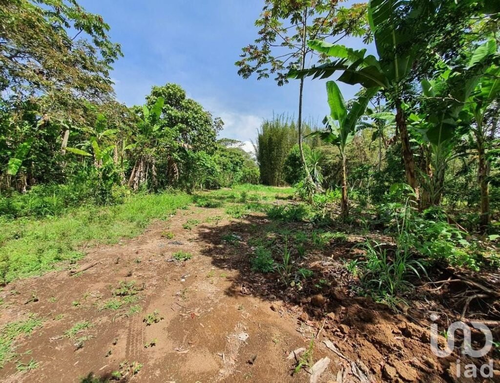 Venta de terreno en San Marcos de León, Xico, Veracruz. 200m2