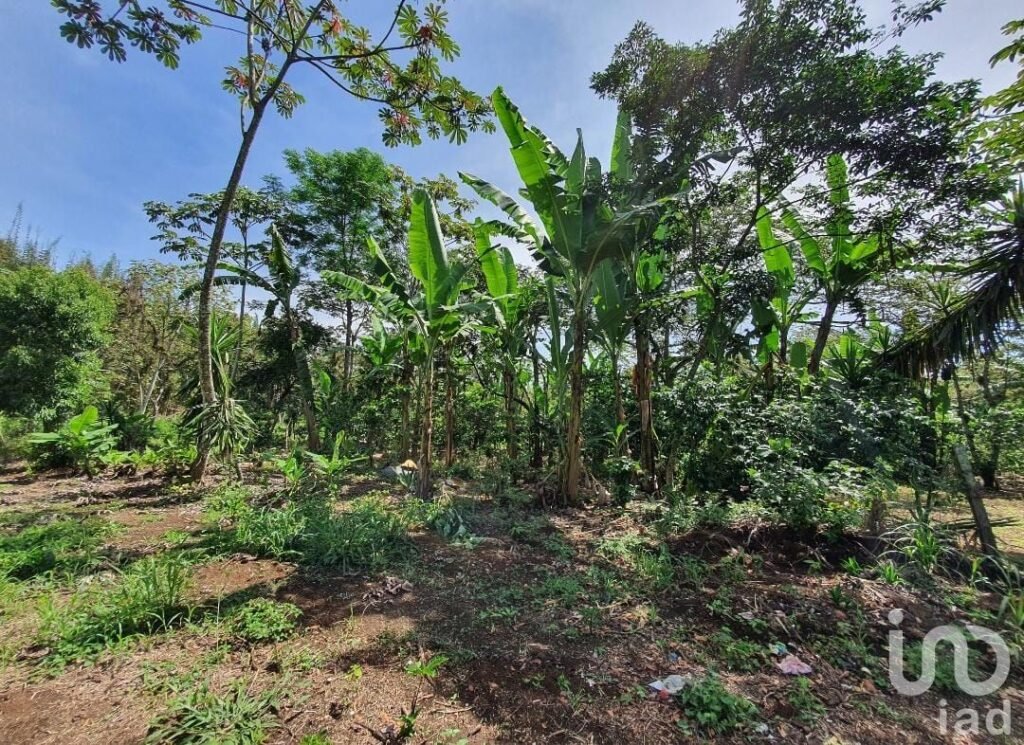 Venta de terreno en San Marcos de León, Xico, Veracruz. 200m2