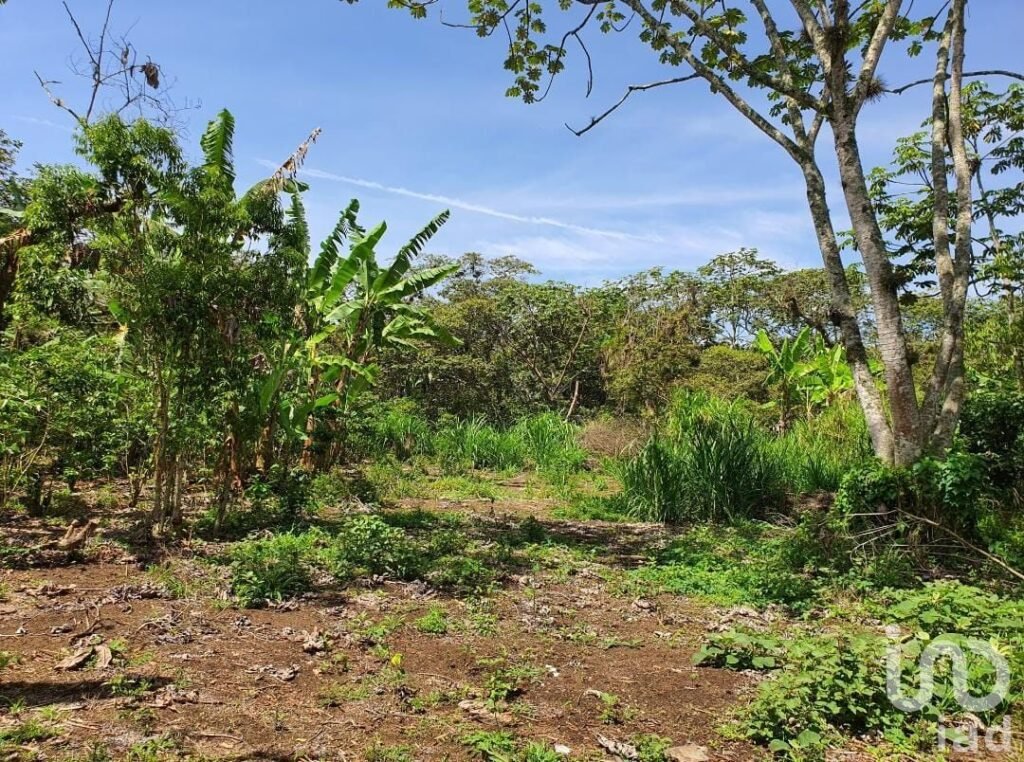 Venta de terreno en San Marcos de León, Xico, Veracruz. 200m2