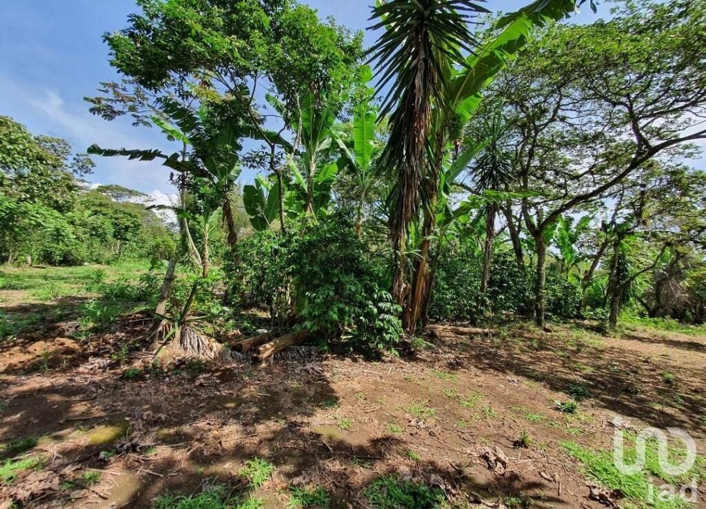 Venta de terreno en San Marcos de León, Xico, Veracruz. 200m2