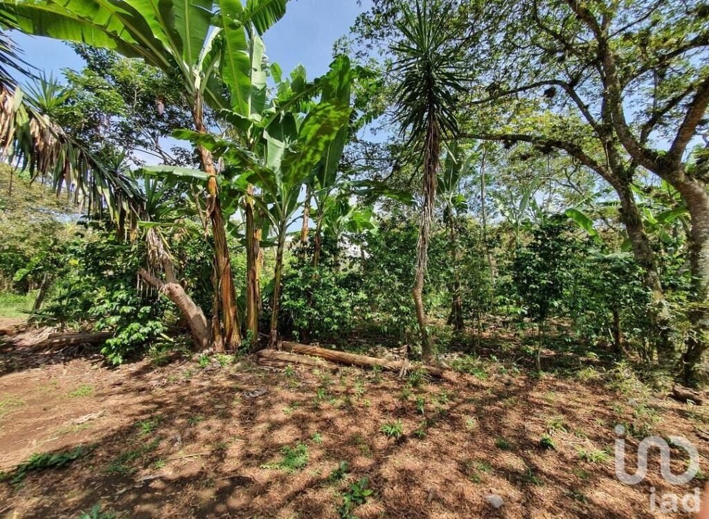Venta de terreno en San Marcos de León, Xico, Veracruz. 200m2