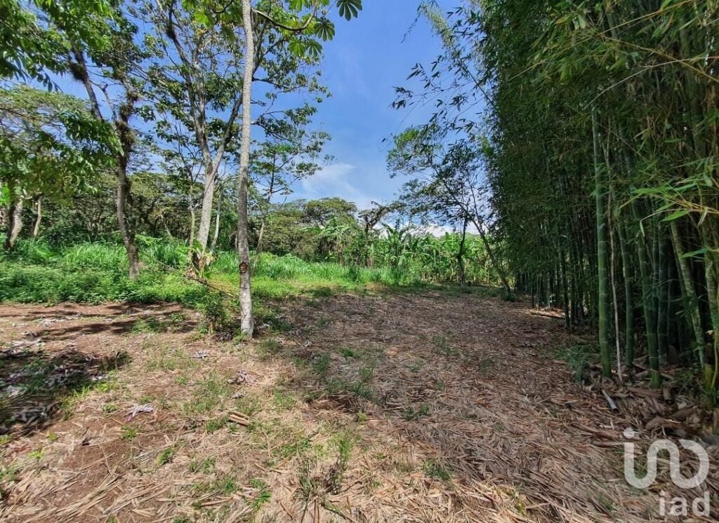 Venta de terreno en San Marcos de León, Xico, Veracruz. 940m2