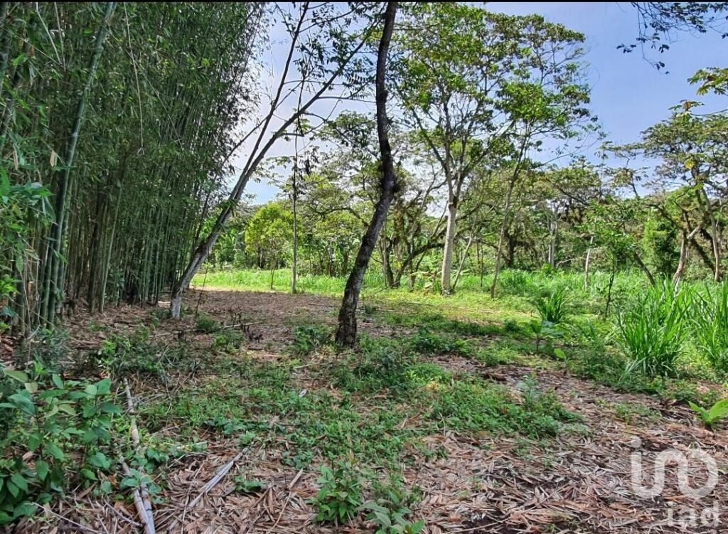 Venta de terreno en San Marcos de León, Xico, Veracruz. 940m2