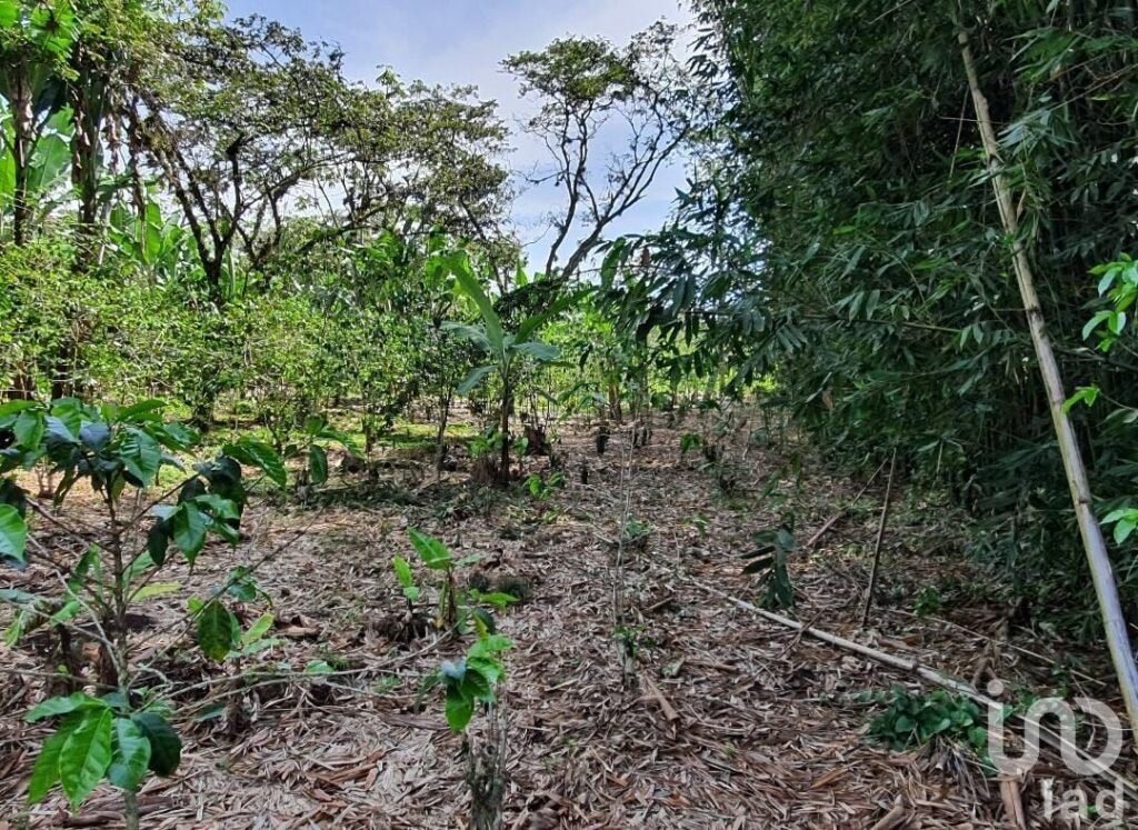 Venta de terreno en San Marcos de León, Xico, Veracruz. 940m2