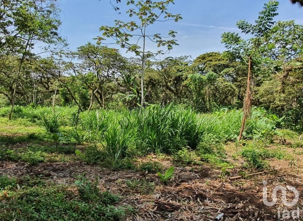 Venta de terreno en San Marcos de León, Xico, Veracruz. 940m2