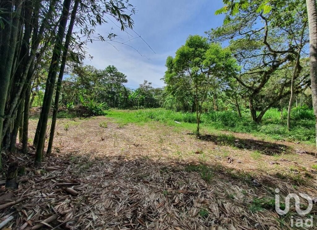 Venta de terreno en San Marcos de León, Xico, Veracruz. 940m2