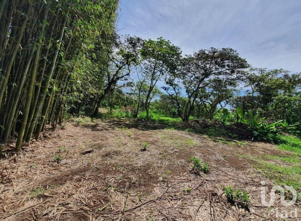 Venta de terreno en San Marcos de León, Xico, Veracruz. 940m2