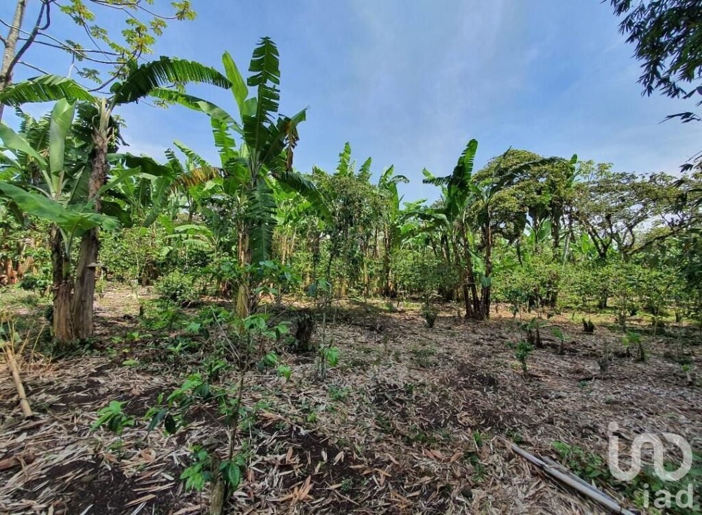 Venta de terreno en San Marcos de León, Xico, Veracruz. 940m2