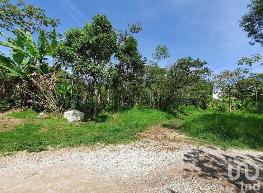 Venta de terreno en San Marcos de León, Xico, Veracruz. 940m2