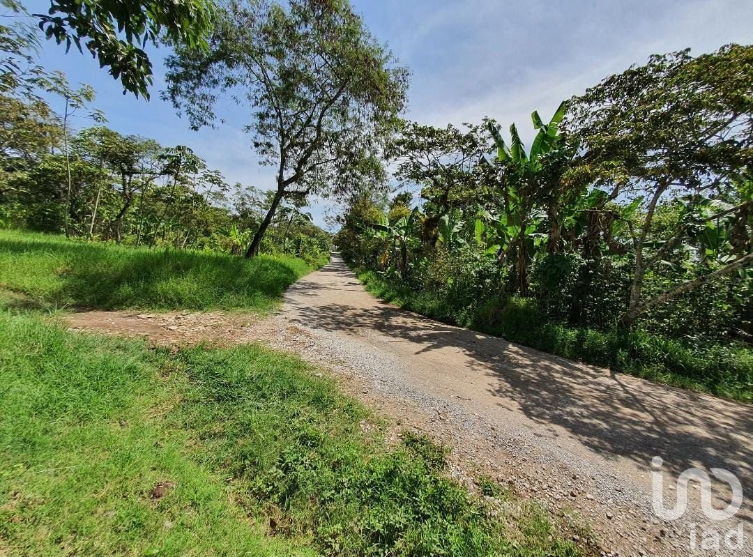 Venta de terreno en San Marcos de León, Xico, Veracruz. 940m2 Venta de terreno en San Marcos de León, Xico, Veracruz. 940m2
