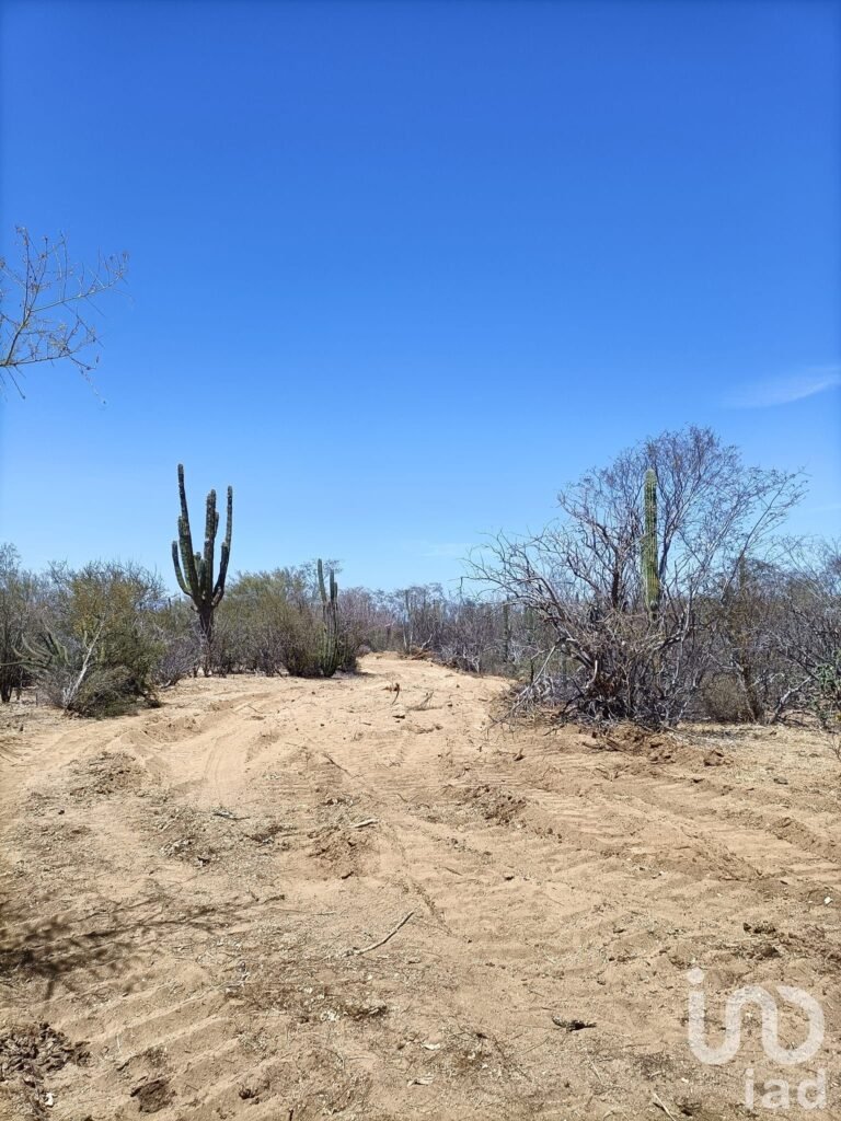 TERRENOS RÚSTICOS CAMPESTRES EN VENTA LOTIFICADOS POR HECTÁREA RANCHO ALEGRE