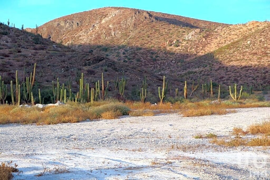 TERRENO 100 HAS FRENTE PLAYA Y CARRETERA LA PAZ-PICHILINGUE, LA PAZ, BAJA CALIFORNIA SUR