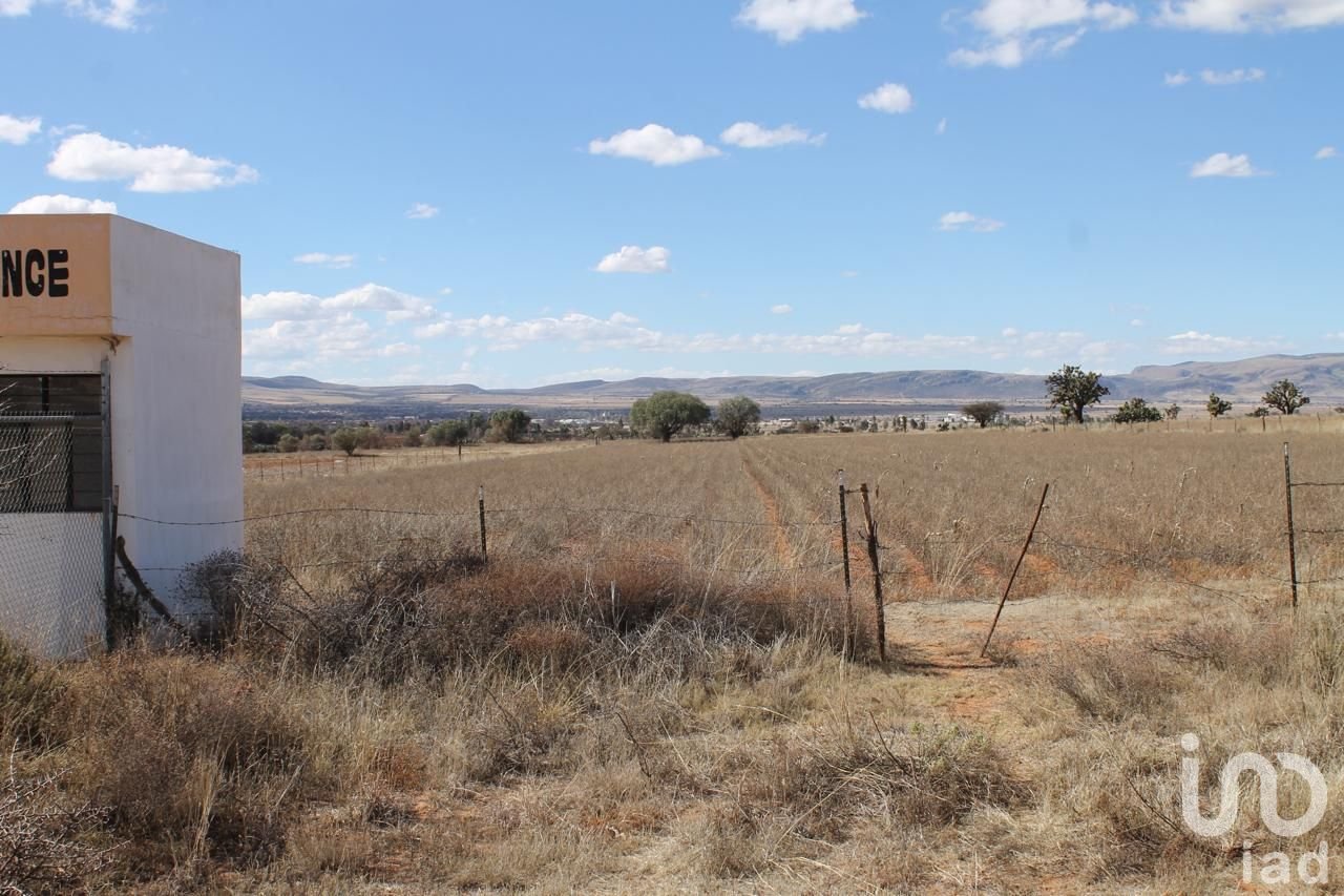 TERRENO EN VENTA 1.2 HECTÁREAS EN SAN ISIDRO BOCANEGRA, GUADALUPE, ZACATECAS TERRENO EN VENTA 1.2 HECTÁREAS EN SAN ISIDRO BOCANEGRA, GUADALUPE, ZACATECAS