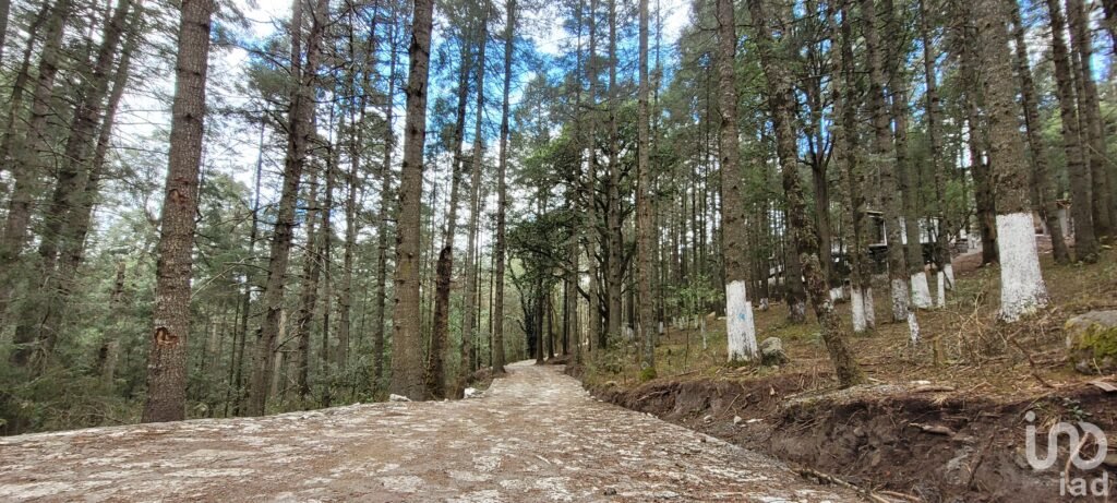 SE VENDE TERRENO RESIDENCIAL EN EL BOSQUE EN EL FRACC. LAS FLORES, MINERAL DE CHICO, HIDALGO