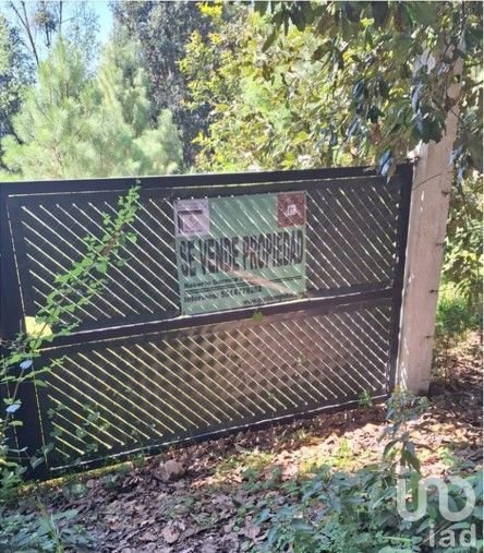 Oportunidad de Inversión, Venta de Terreno en San Simón El Alto, Valle de Bravo, Edo. de México