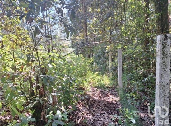 Oportunidad de Inversión, Venta de Terreno en San Simón El Alto, Valle de Bravo, Edo. de México