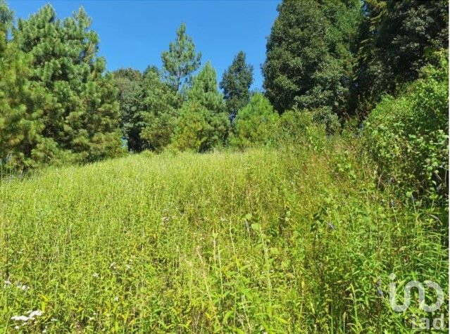 Oportunidad de Inversión, Venta de Terreno en San Simón El Alto, Valle de Bravo, Edo. de México