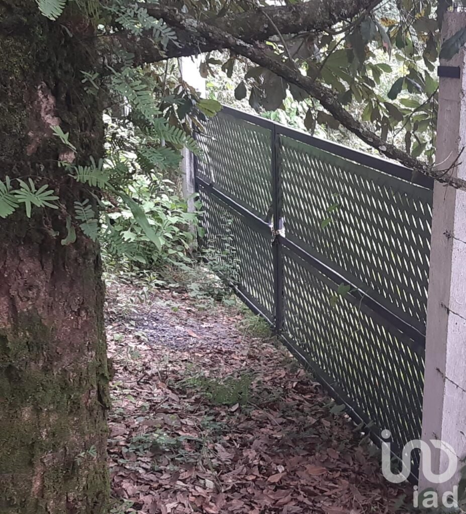 Oportunidad de Inversión, Venta de Terreno en San Simón El Alto, Valle de Bravo, Edo. de México