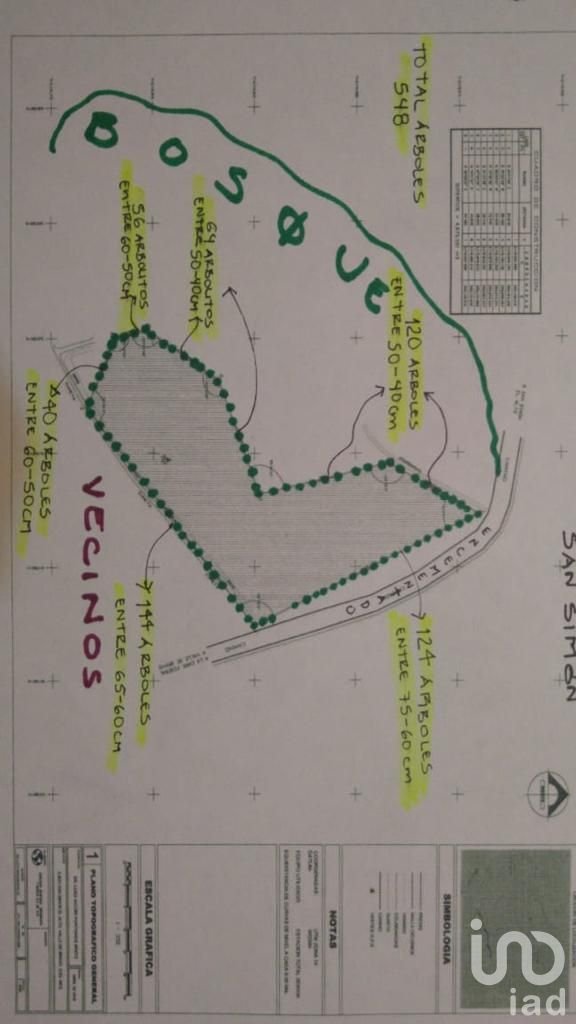 Oportunidad de Inversión, Venta de Terreno en San Simón El Alto, Valle de Bravo, Edo. de México