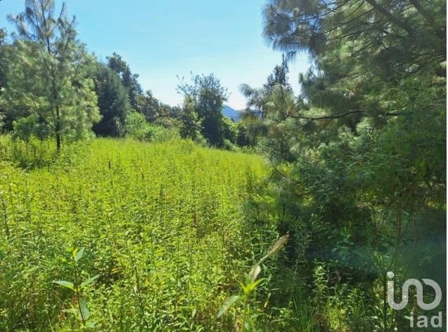 Oportunidad de Inversión, Venta de Terreno en San Simón El Alto, Valle de Bravo, Edo. de México