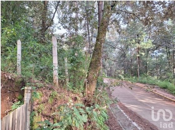 Oportunidad de Inversión, Venta de Terreno San Simón El Alto, Valle de Bravo, Edo. de México