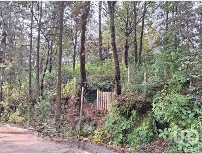 Oportunidad de Inversión, Venta de Terreno San Simón El Alto, Valle de Bravo, Edo. de México