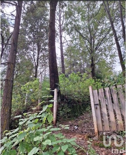 Oportunidad de Inversión, Venta de Terreno San Simón El Alto, Valle de Bravo, Edo. de México