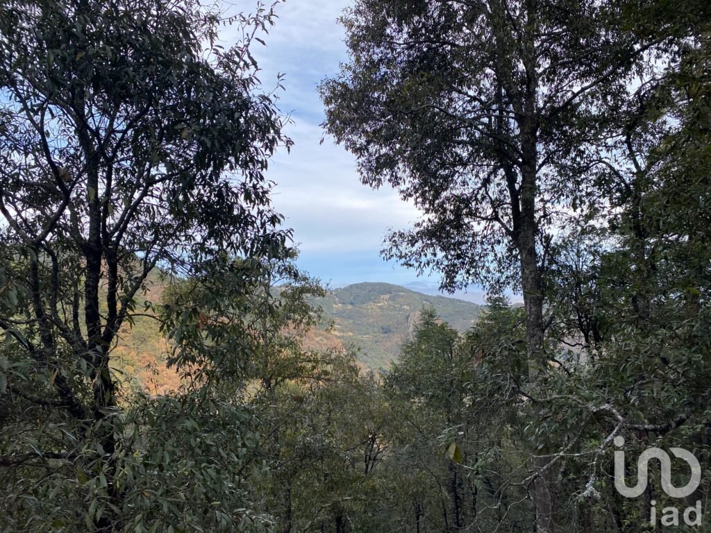 EN VENTA TERRENO BOSCOSO EN EL PUEBLO MAGICO DE OMITLAN,HGO.