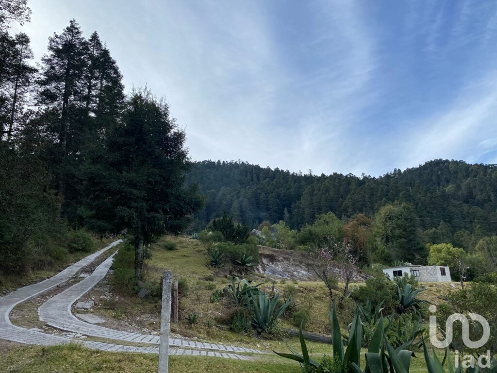 EN VENTA TERRENO BOSCOSO EN EL PUEBLO MAGICO DE OMITLAN,HGO.